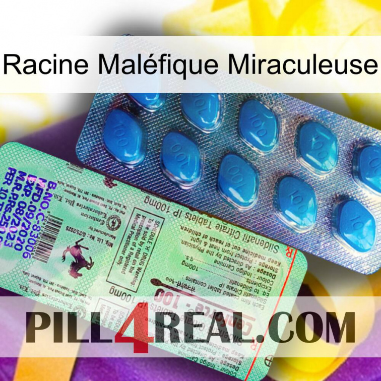 Racine Maléfique Miraculeuse new02